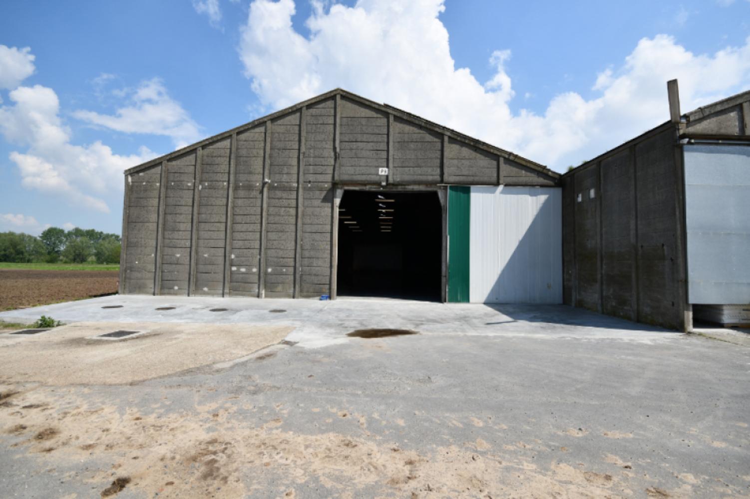 Industrial property for rent in Oostrozebeke