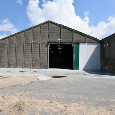 Industrial property for rent in Oostrozebeke