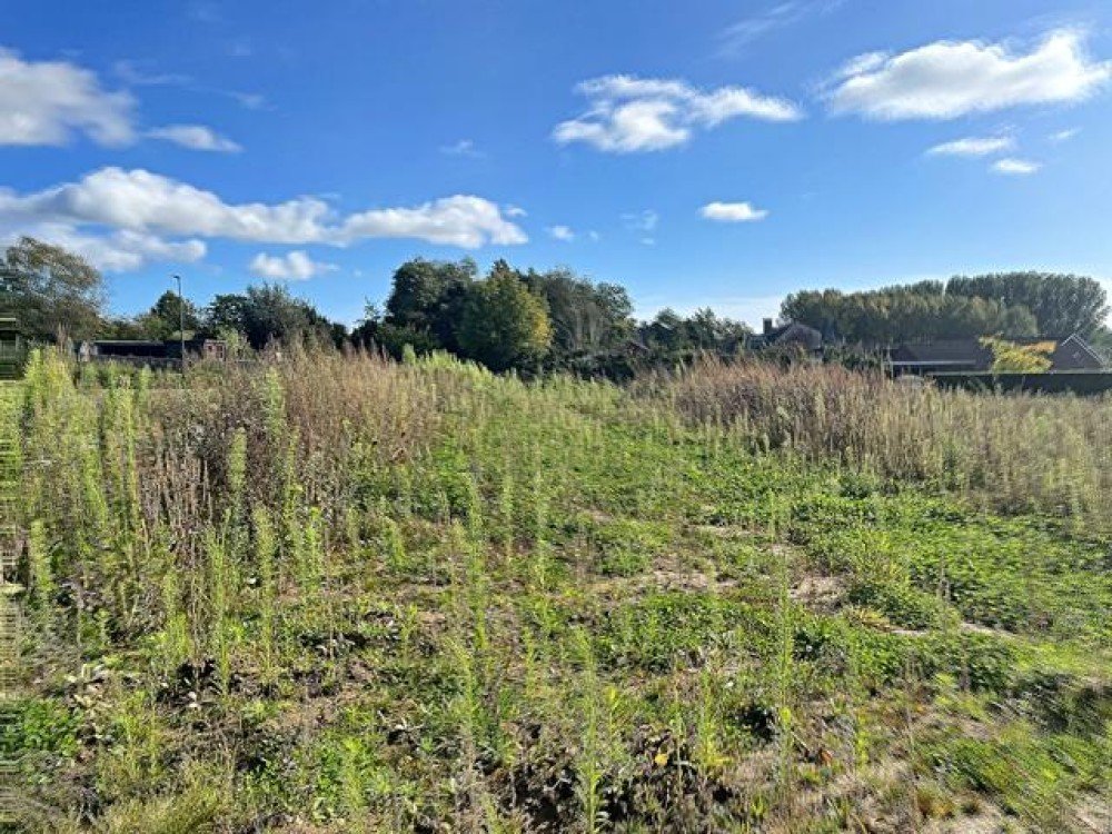 Building lot for sale in Geraardsbergen