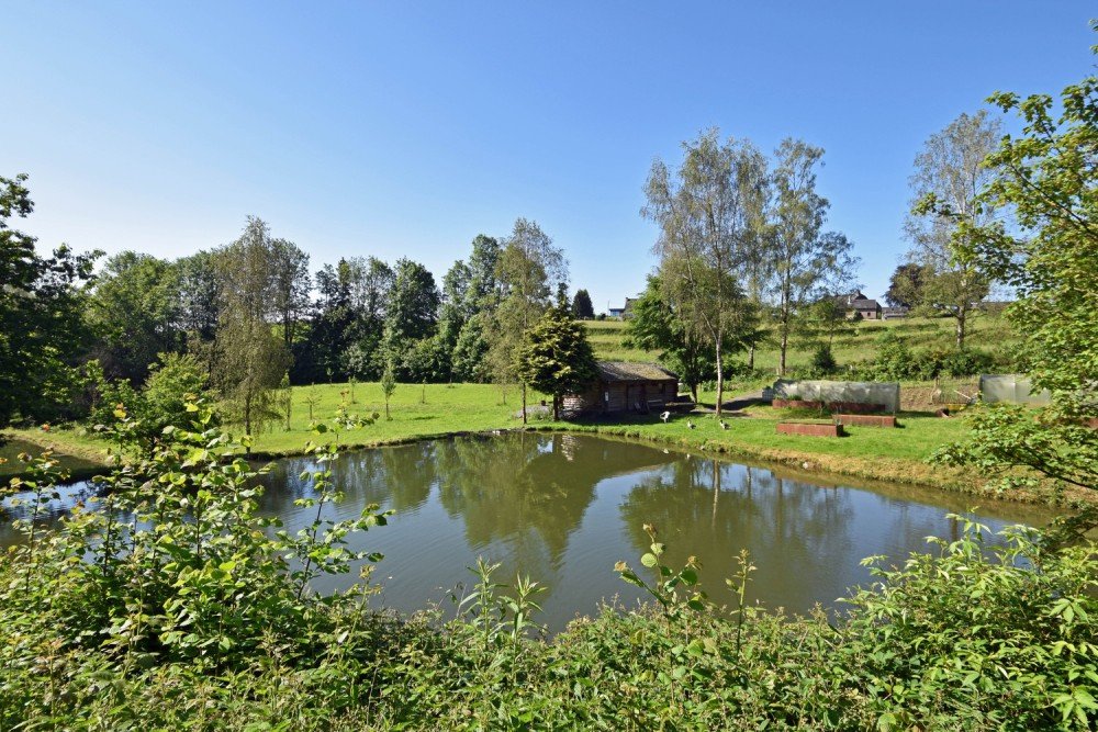 Forest for sale in Nafraiture
