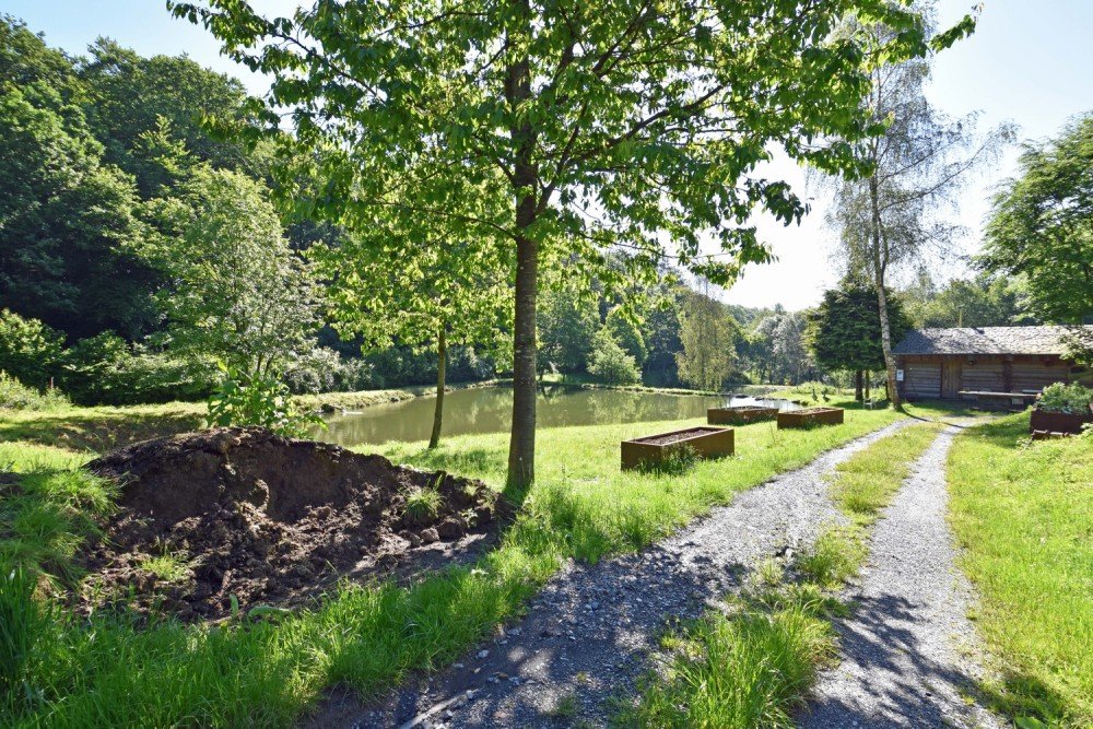 Forest for sale in Nafraiture