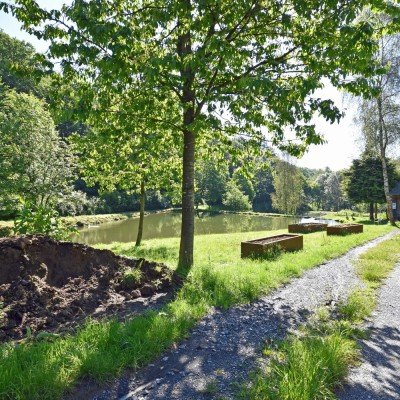 Forest for sale in Nafraiture