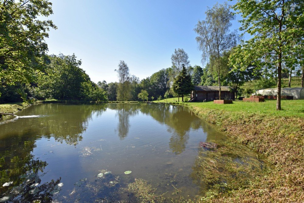 Forest for sale in Nafraiture