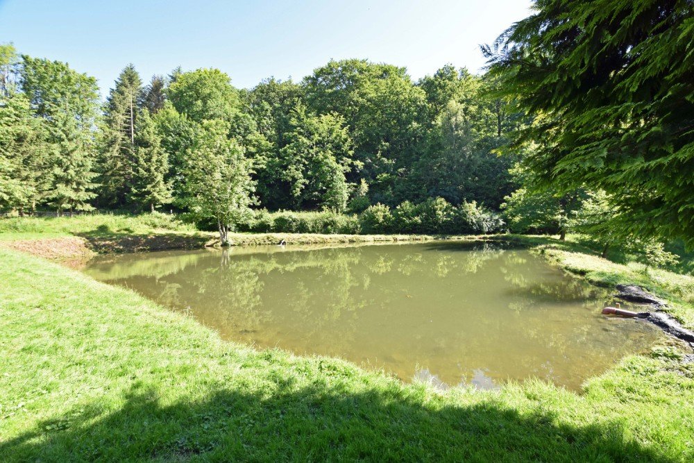 Forest for sale in Nafraiture