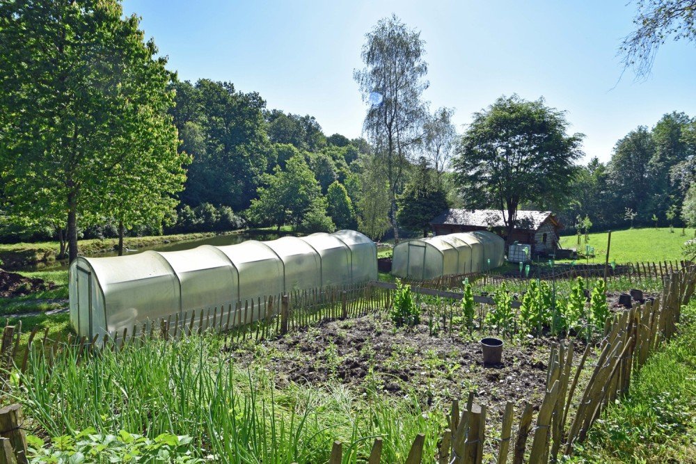 Forest for sale in Nafraiture