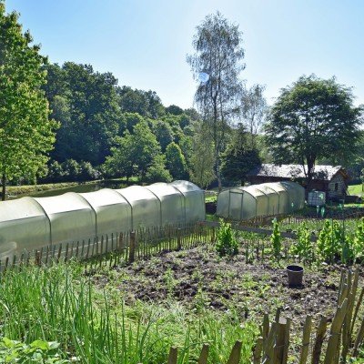 Forest for sale in Nafraiture