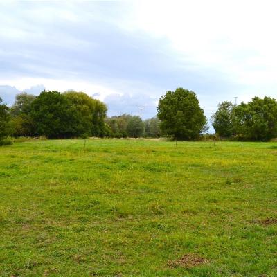 Terrain à louer