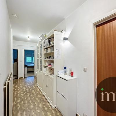 Appartement te koop in Dilbeek