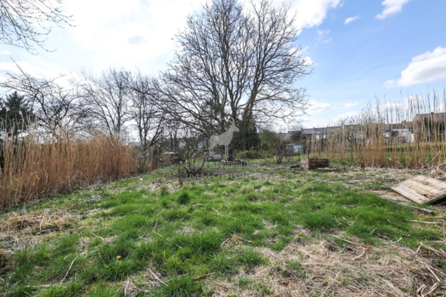 House for sale in Bois-D'haine