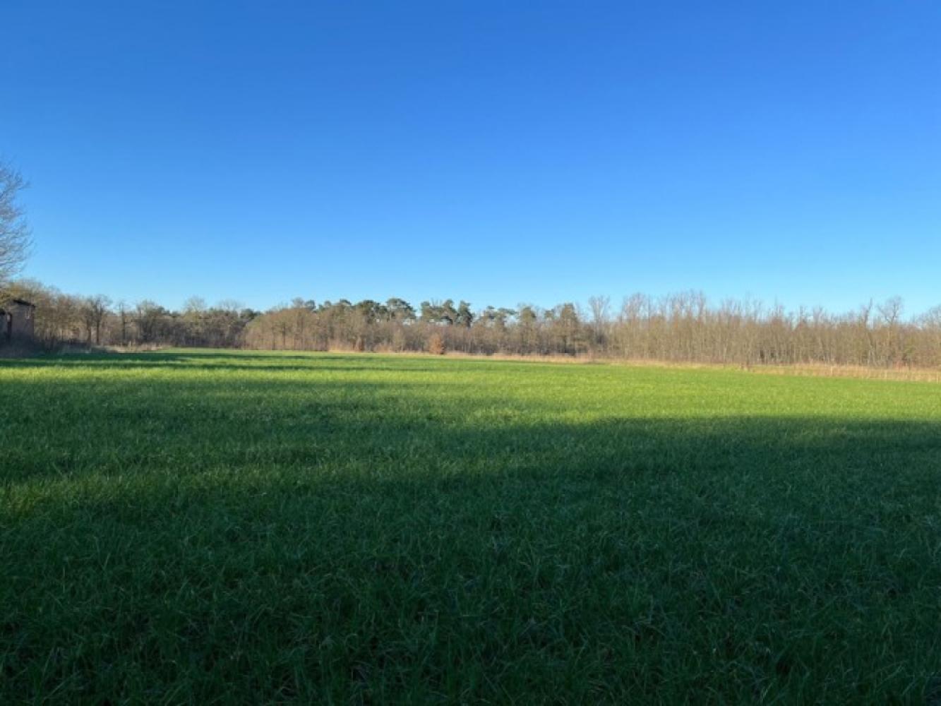 Landbouwgrond te koop in Geel