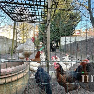 Appartement te koop in Molenbeek-Saint-Jean