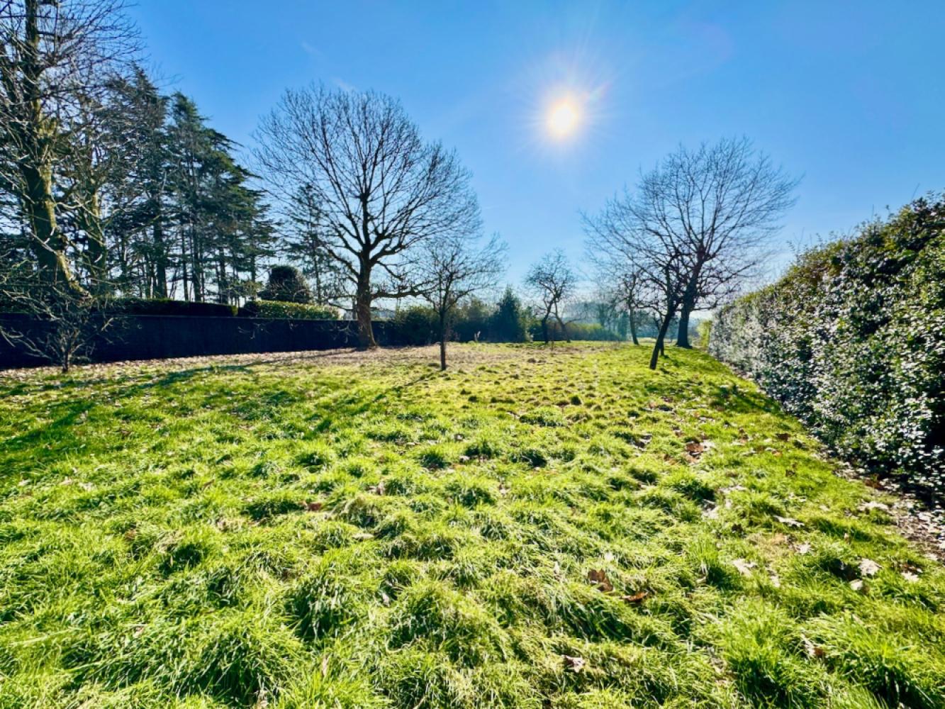 Bouwgrond te koop in Drongen