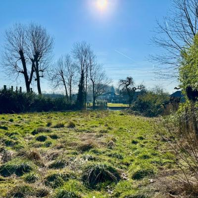 Bouwgrond te koop in Drongen