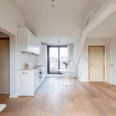 Penthouse te koop