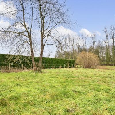 Bien commercial à vendre à Oosterzele