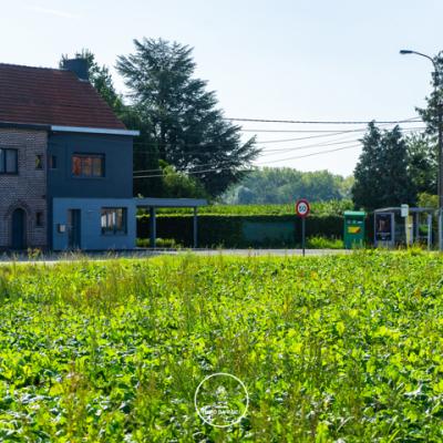 House for sale in Afsnee