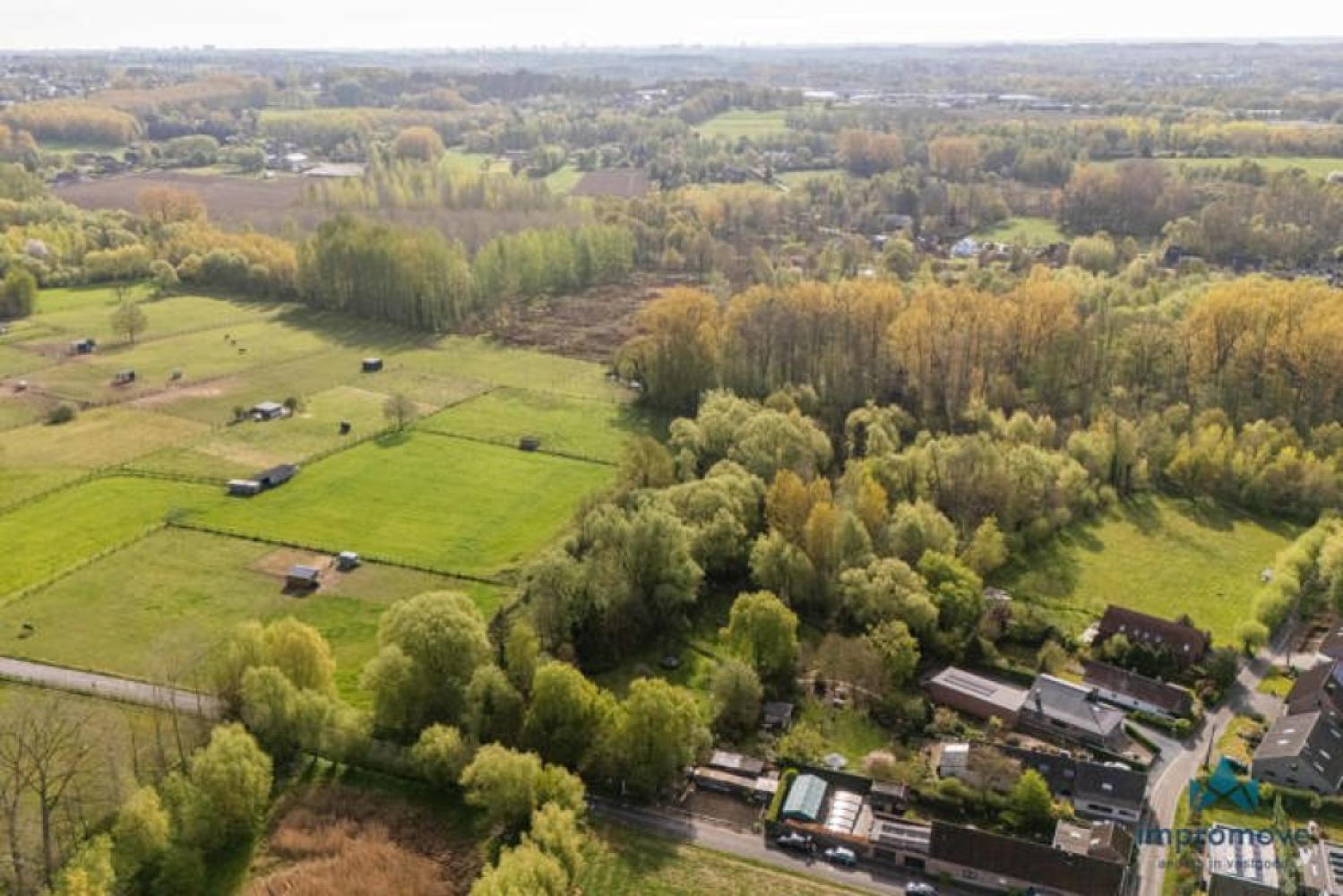 Forest for sale in Asse