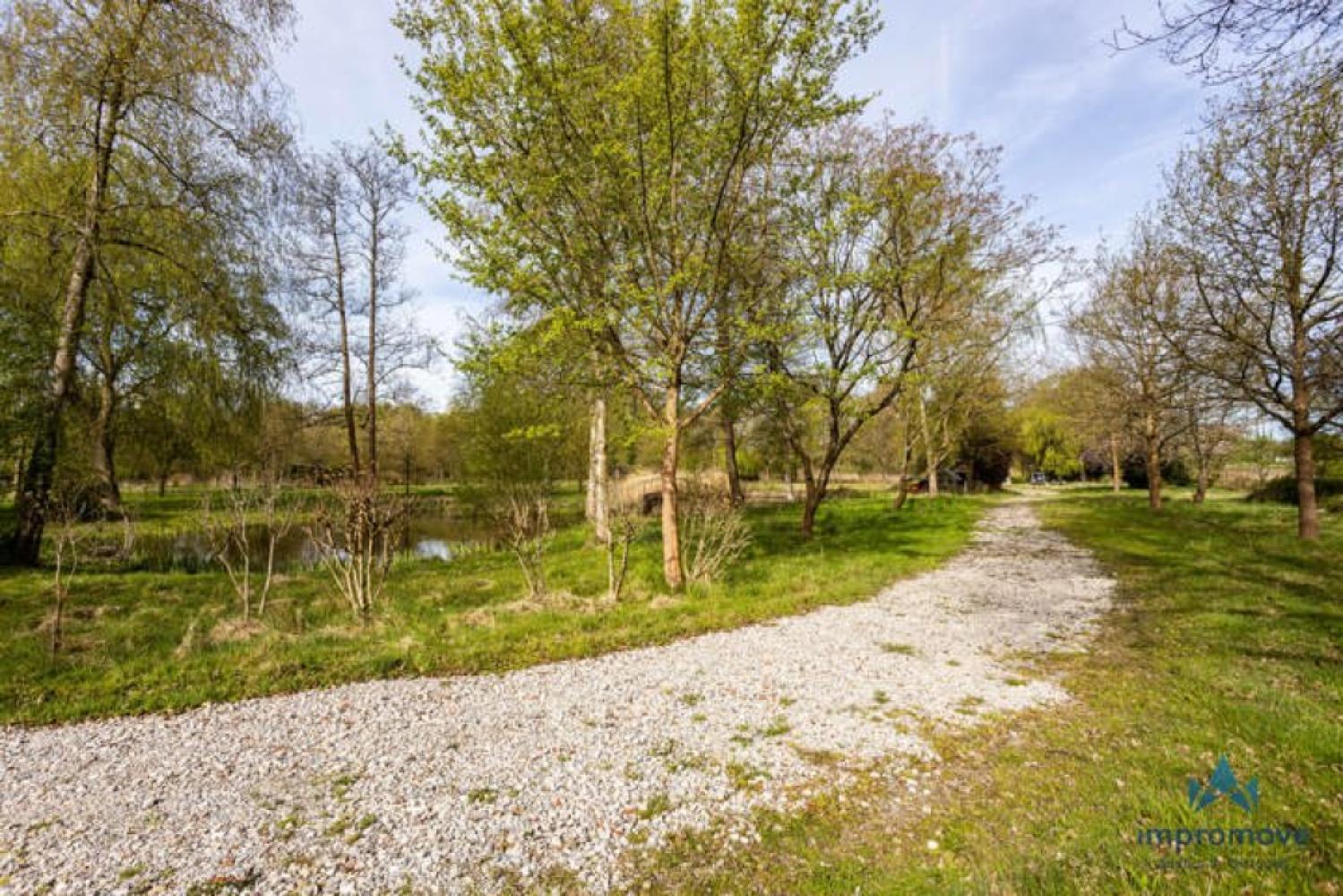 Forêt à vendre à Asse