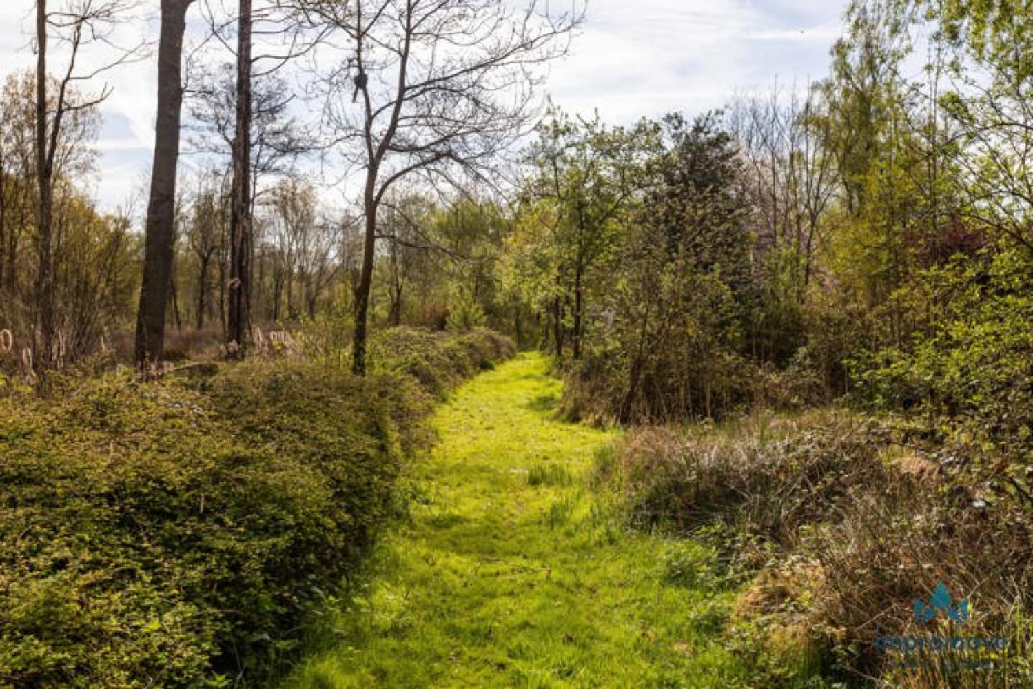 Forêt à vendre à Asse