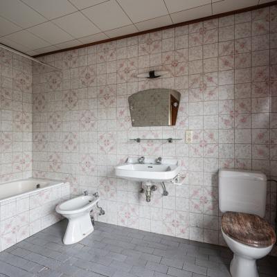 Maison à vendre à Oosteeklo