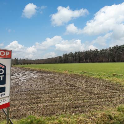 Prairie à vendre à Wuustwezel
