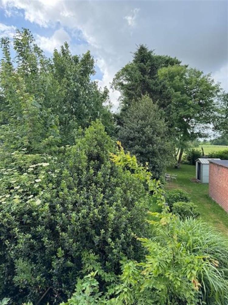 Huis te koop in Zeveneken