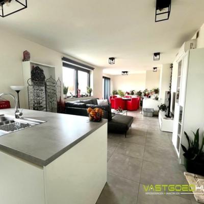 Duplex à vendre à Liedekerke