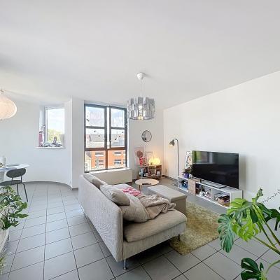 Rooftop apartment for rent