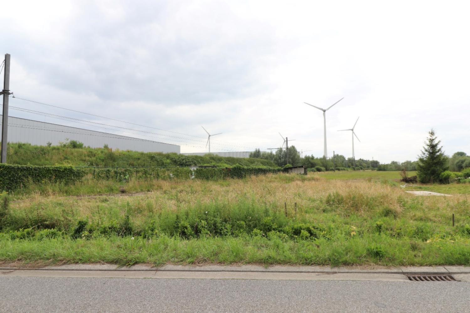 Bouwgrond te koop in Puurs-Sint-Amands