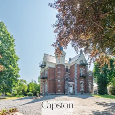 Castle for sale
