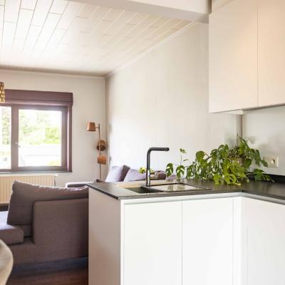 House for sale in Hekelgem (Affligem)