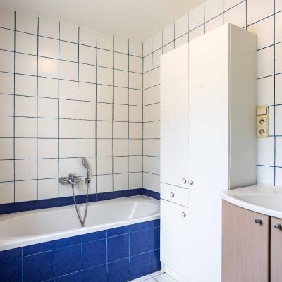 House for sale in Hekelgem (Affligem)