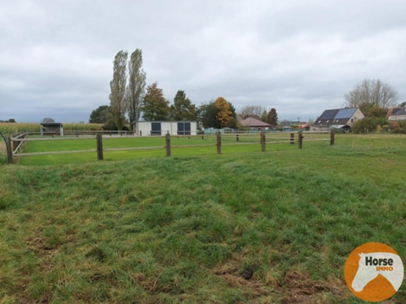 Meadow for sale in Lede