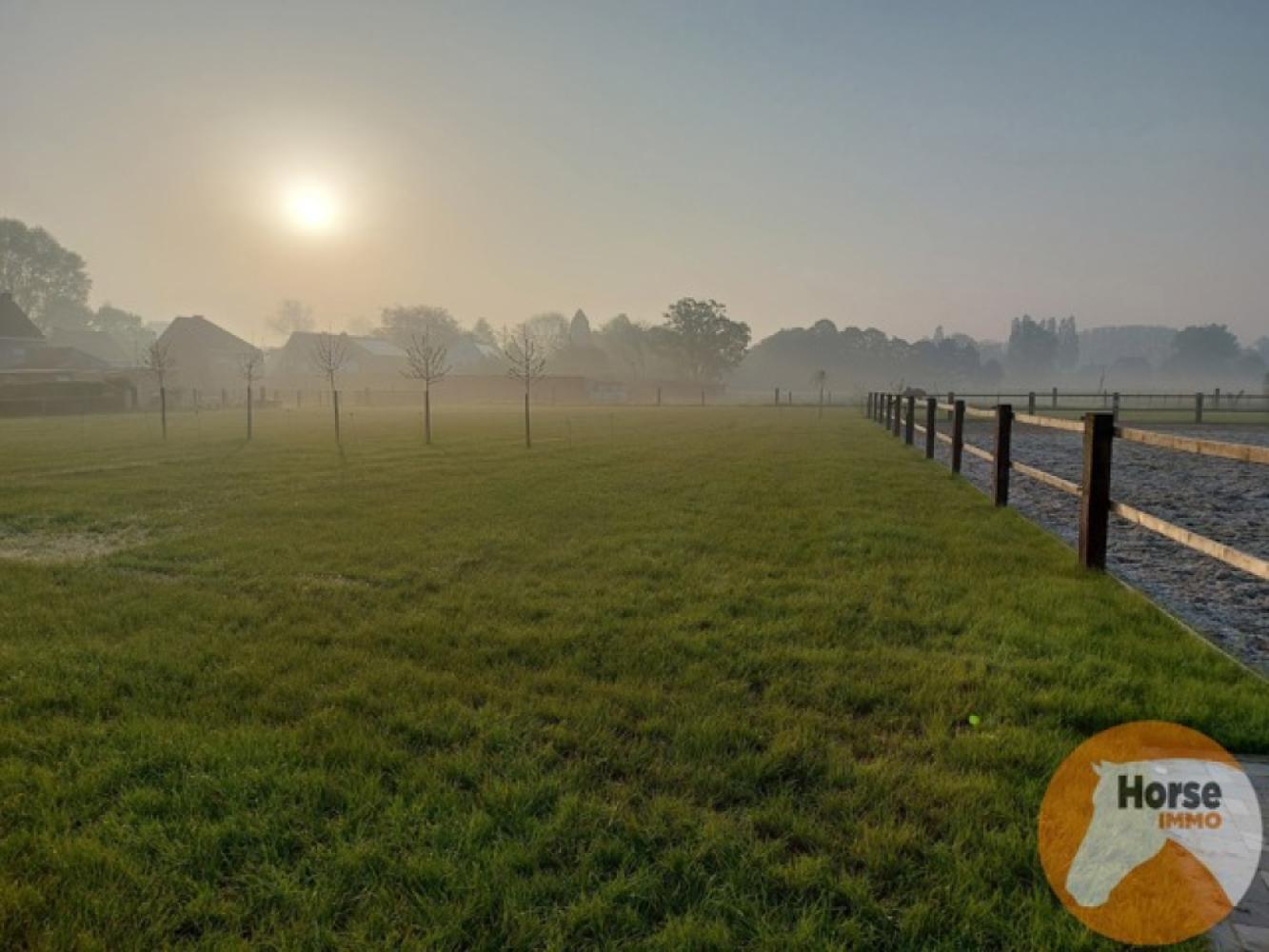 Meadow for sale in Lede