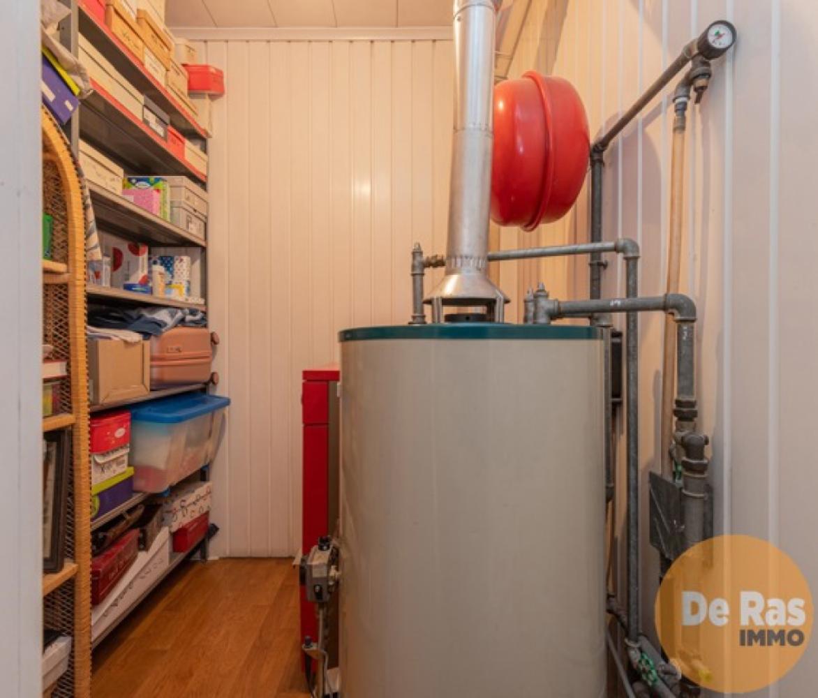 Commerciële eigendom te koop in Wetteren