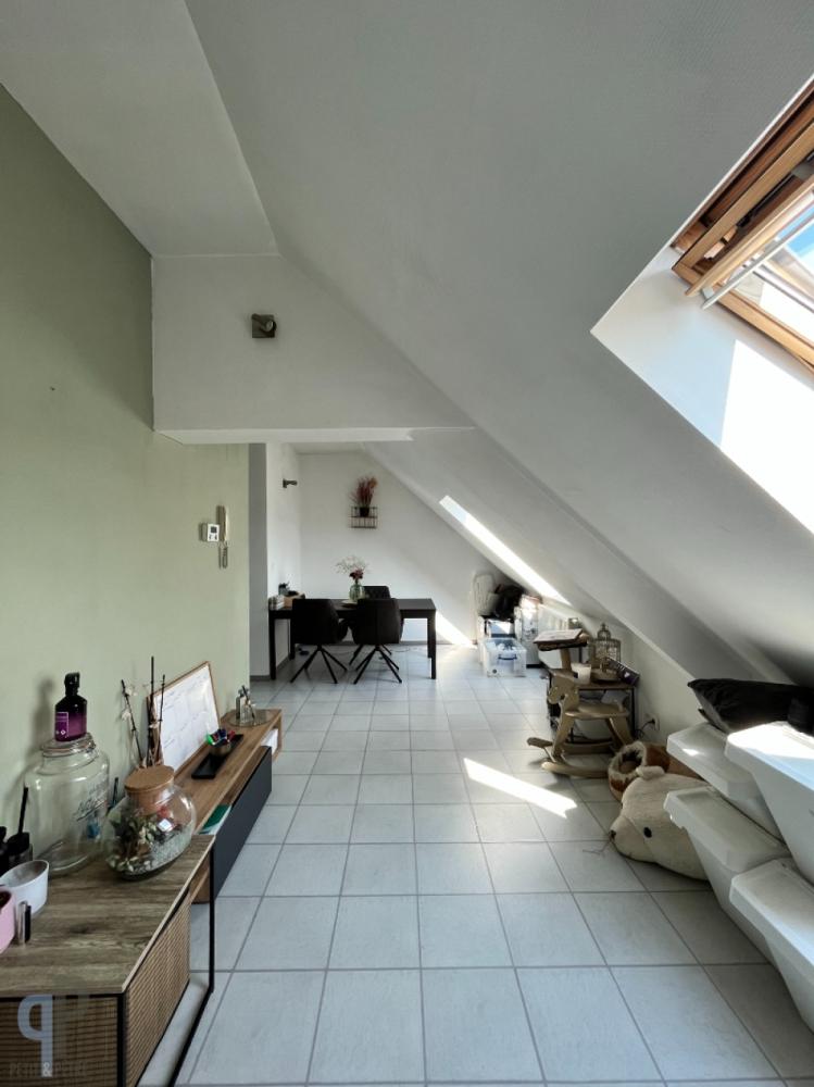 Appartement te huur in Hillegem