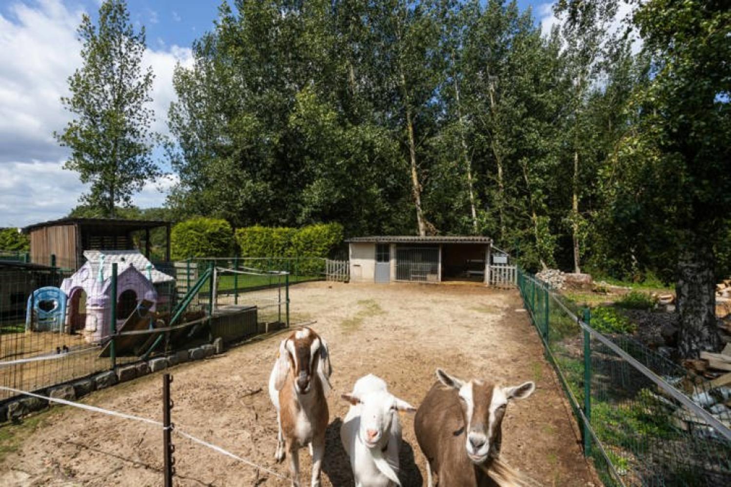 Huis te koop in Asse