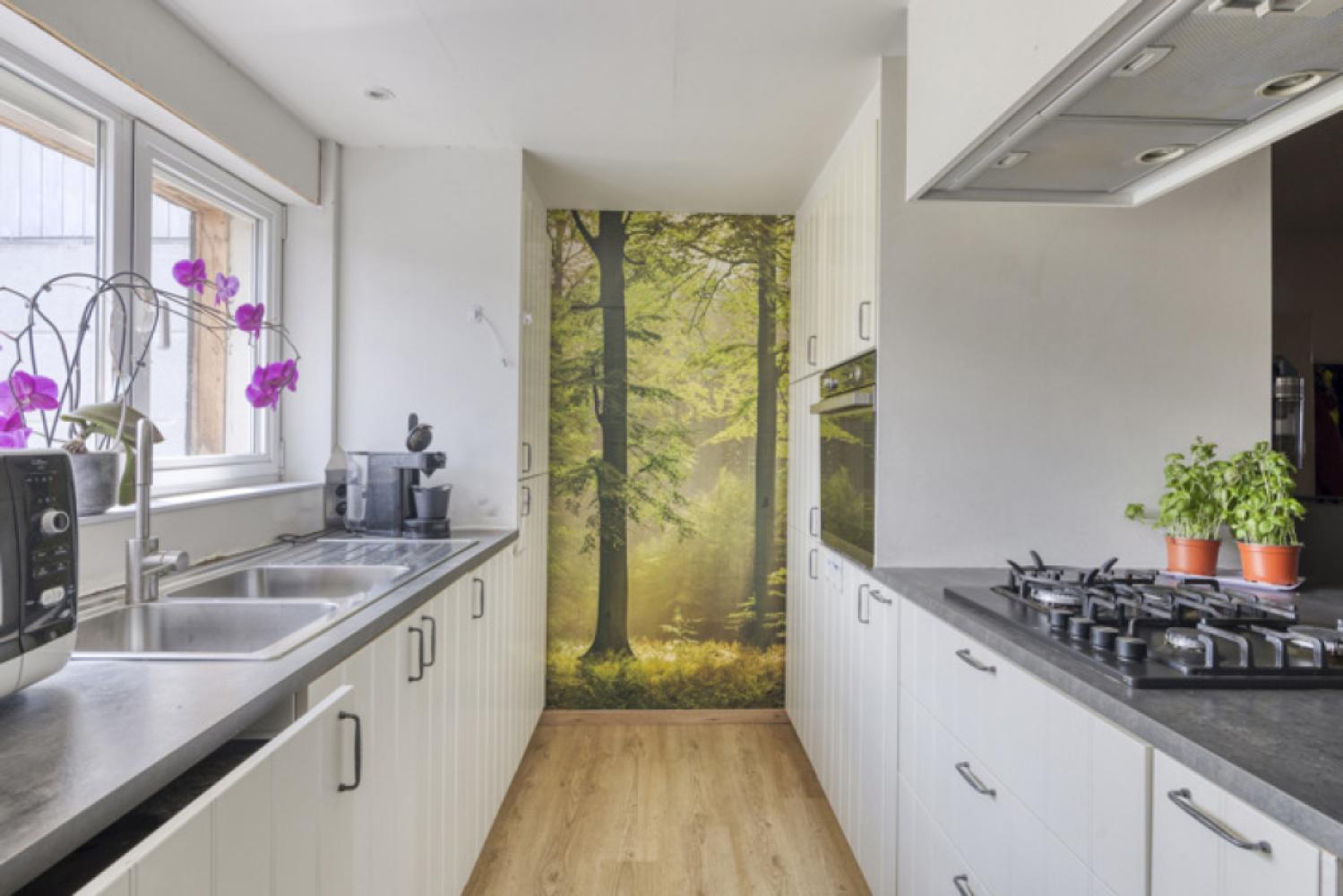 Maison à vendre à Dendermonde