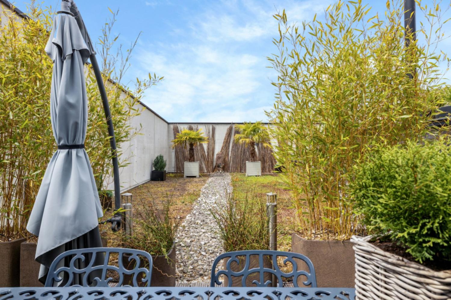 Duplex te koop in Antwerpen
