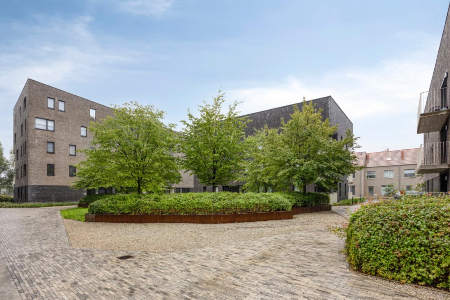 Duplex te koop in Antwerpen