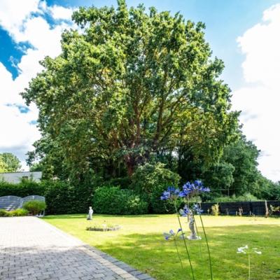 Bungalow te koop in Hever