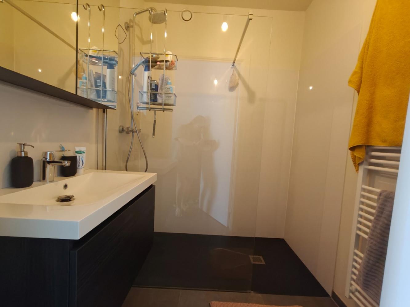 Ground floor apartment for rent in Lokeren