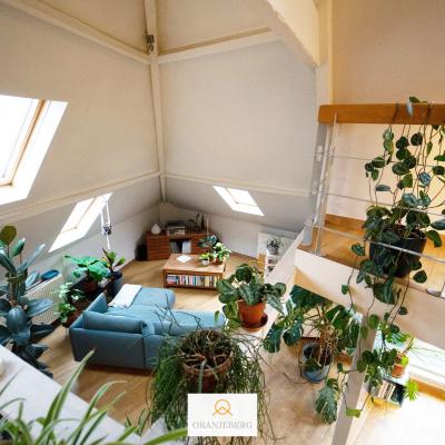 Appartement te huur in Gent