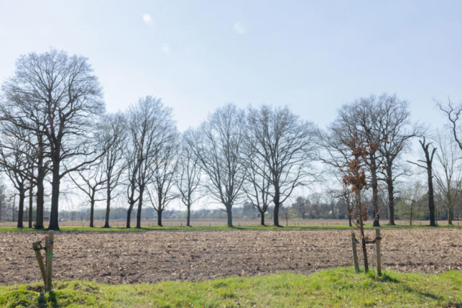 Kantoor te koop in Sint-Denijs-Westrem