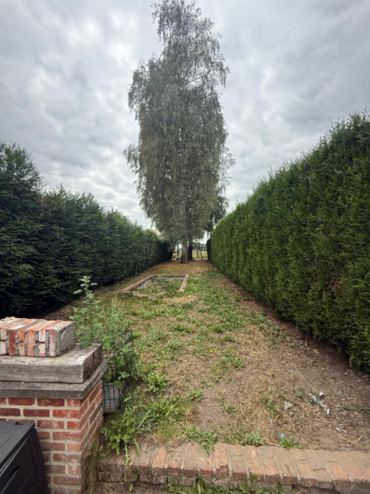 House for rent in Lebbeke