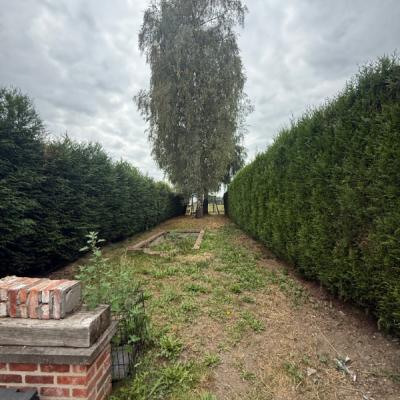 House for rent in Lebbeke
