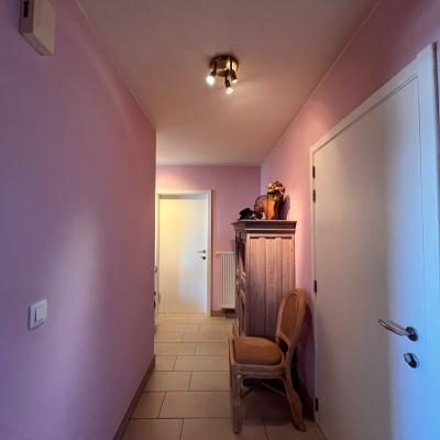 Appartement te huur in Zottegem