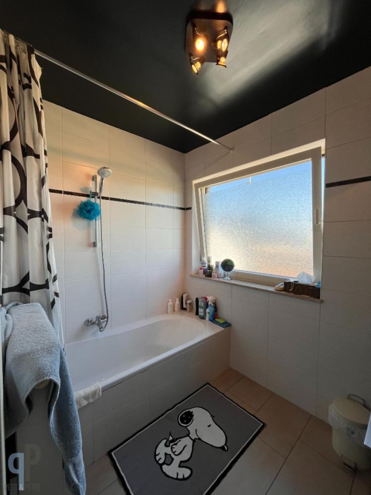 Appartement te huur in Zottegem