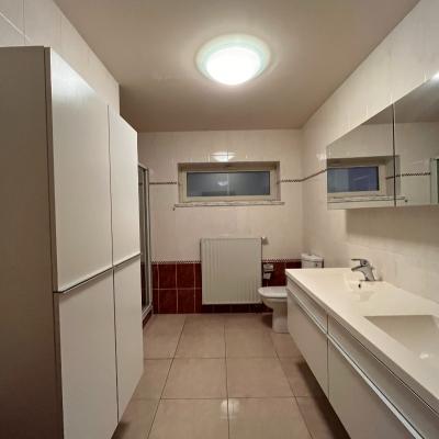 Apartment for rent in Zottegem