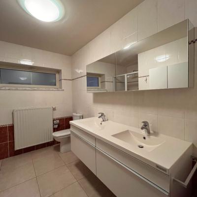 Apartment for rent in Zottegem